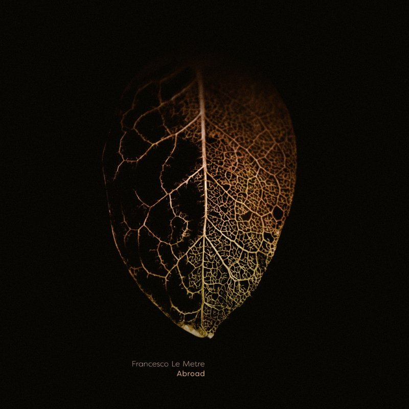 Abroad LP by Francesco Le Metre