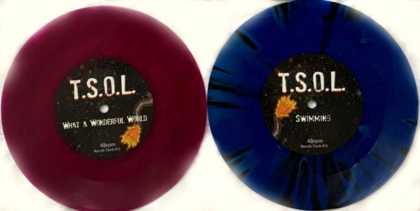 Wonderful World? 7-inch by T.S.O.L. — фото 2