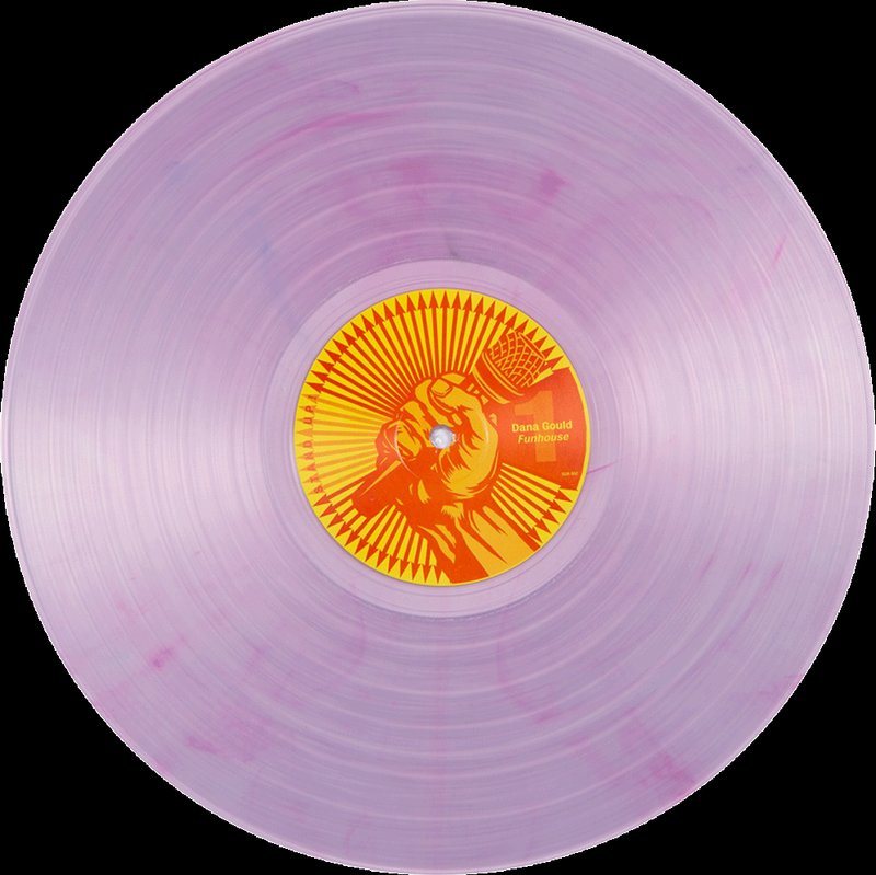 Funhouse LP by Dana Gould — фото 2