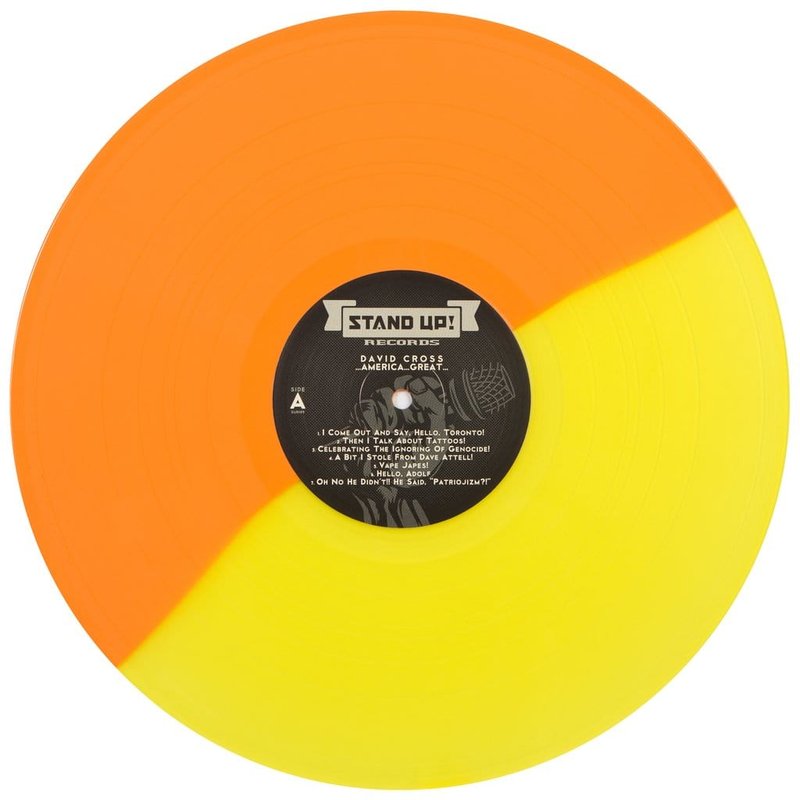 ...America...Great... LP by David Cross — фото 2