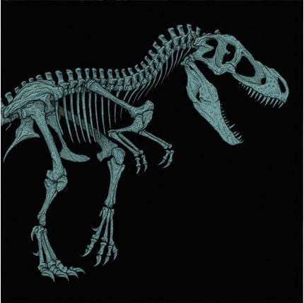 Jurassic Park Original Motion Picture Soundtrack (20th Anniversary - Version B)