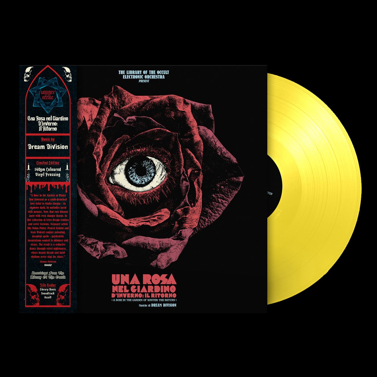 Una Rosa nel Giardino d'Inverno LP by Dream Division