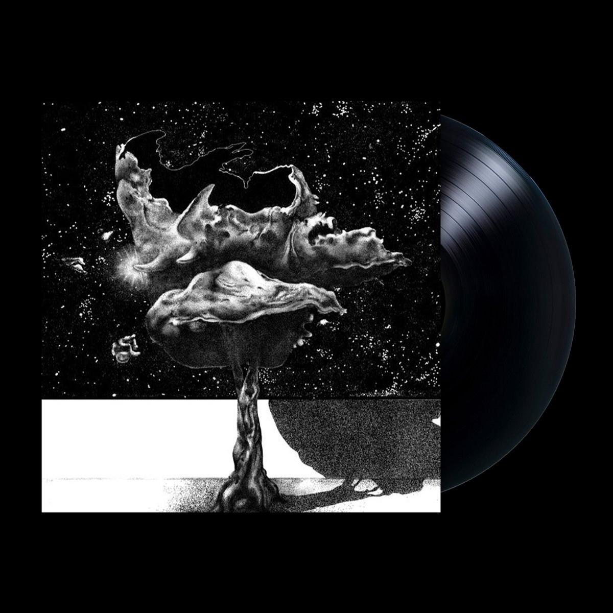 Seek Sound Shelter LP by Somafree Institute