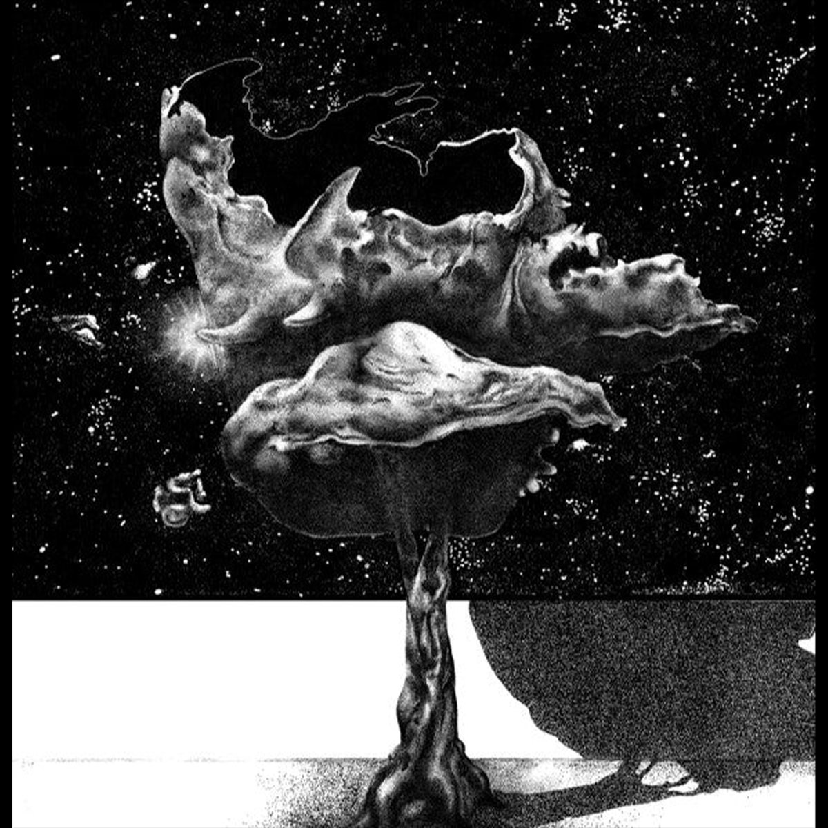 Seek Sound Shelter LP by Somafree Institute — фото 2